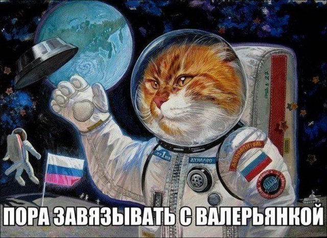 Абсурдный юмор ч.22