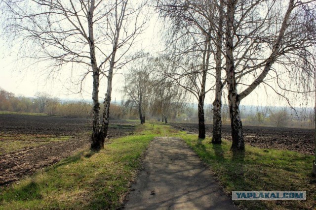 Сельскохозяйственный эксперимент ч. 7