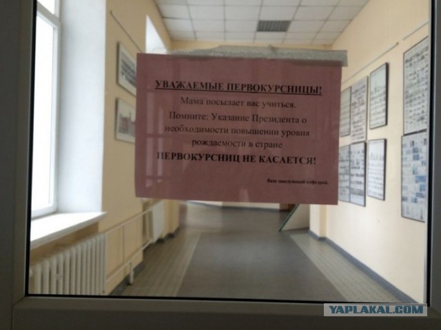 Подборка картинок из сети
