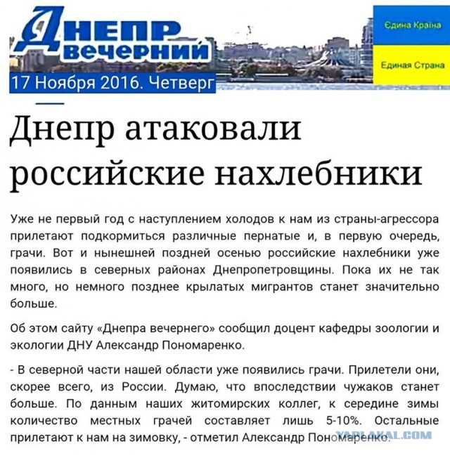 Ветерана «Беркута» из Одессы эвакуировали в Россию