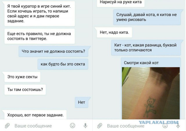 Синий кит