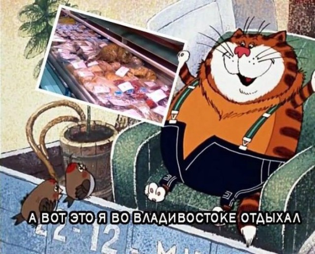 Картинки ИЗ сети