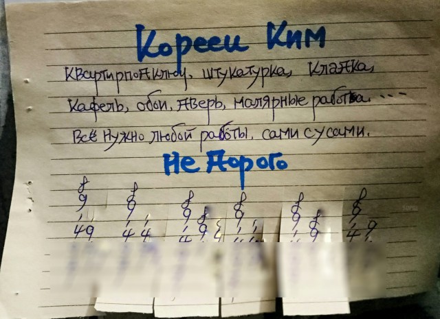 Подборка безудержного веселья