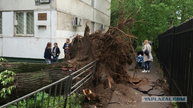 В Москве ураган!