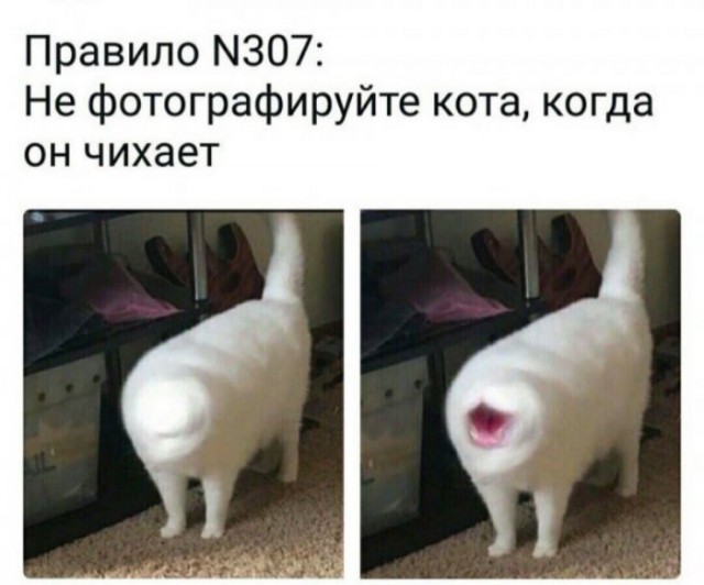 Приколы в стиле "регресс"