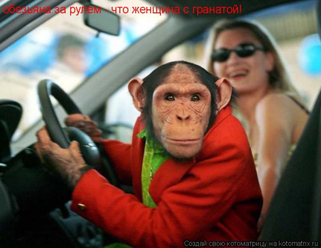 Парковка пошла не по плану
