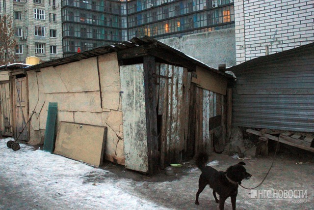 «Запросили 19 квартир за 40 квадратов»: как на Масленникова оказались соседями избы и новостройки
