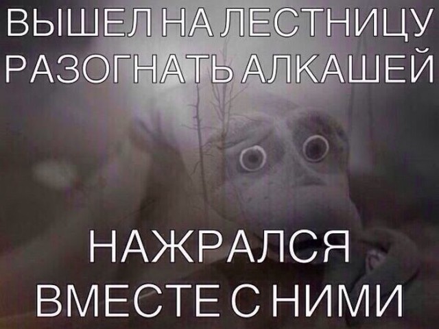 Алкоюмор 3.0
