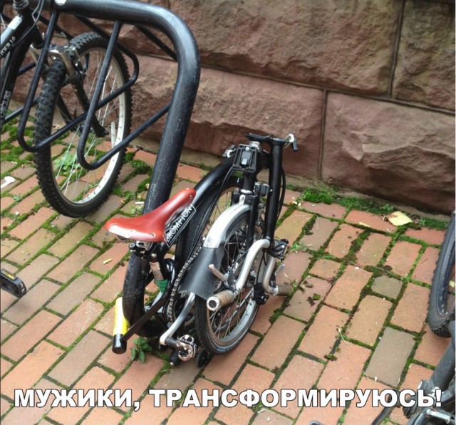 Прикольные картинки абавсём