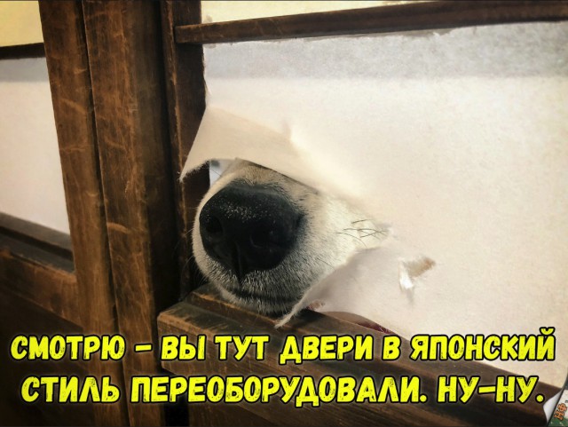 Нестандартный юмор