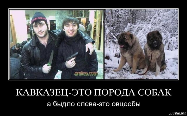В ночном клубе Краснодара девушке порезали лицо