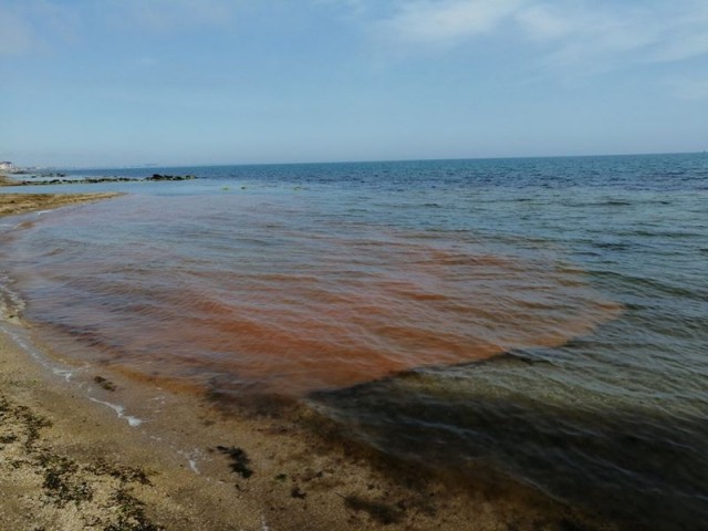 Черноморский отдых россиян тонет в фекалиях: купание в загаженной воде