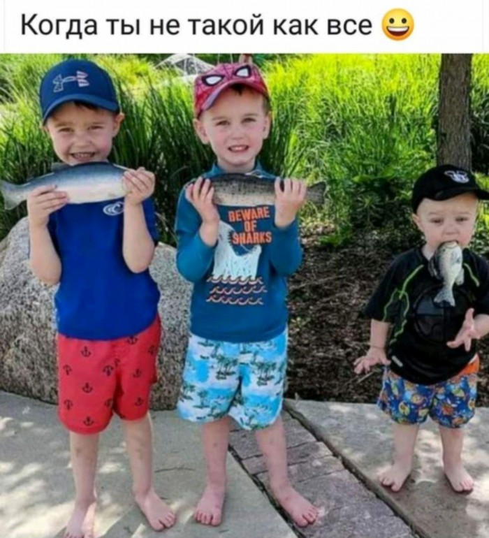Подонковщина