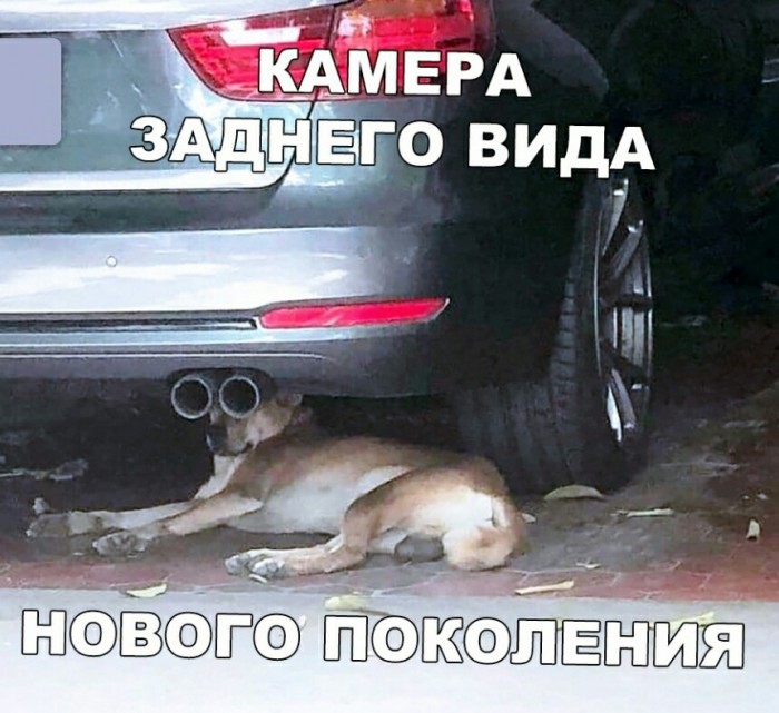 Подборка интересных и веселых картинок 15.09.19