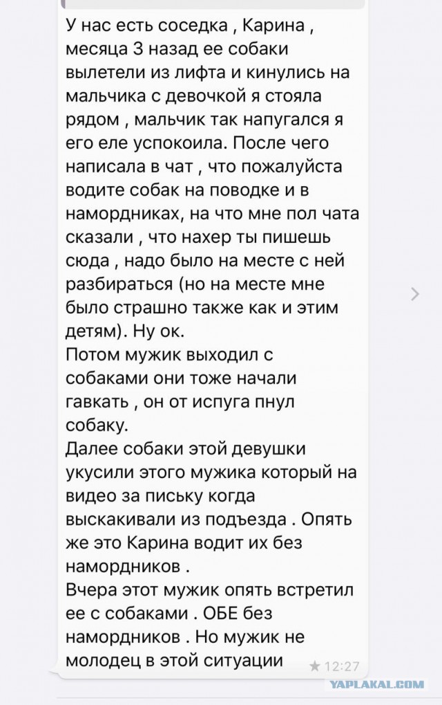 Во Владивостоке мужчина, выходящий из подъезда пнул собаку, а за тем отпинал хозяйку животного