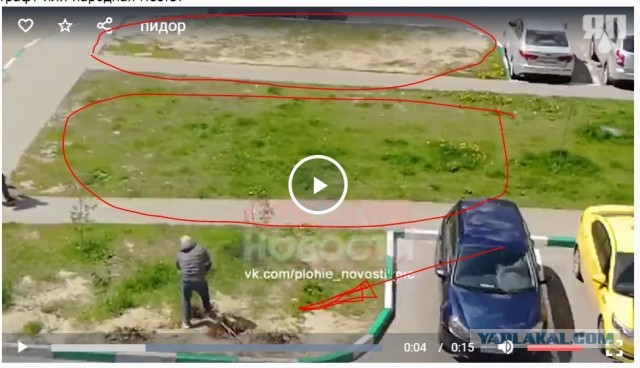 Про биомассу на парковке - быдло обыкновенное