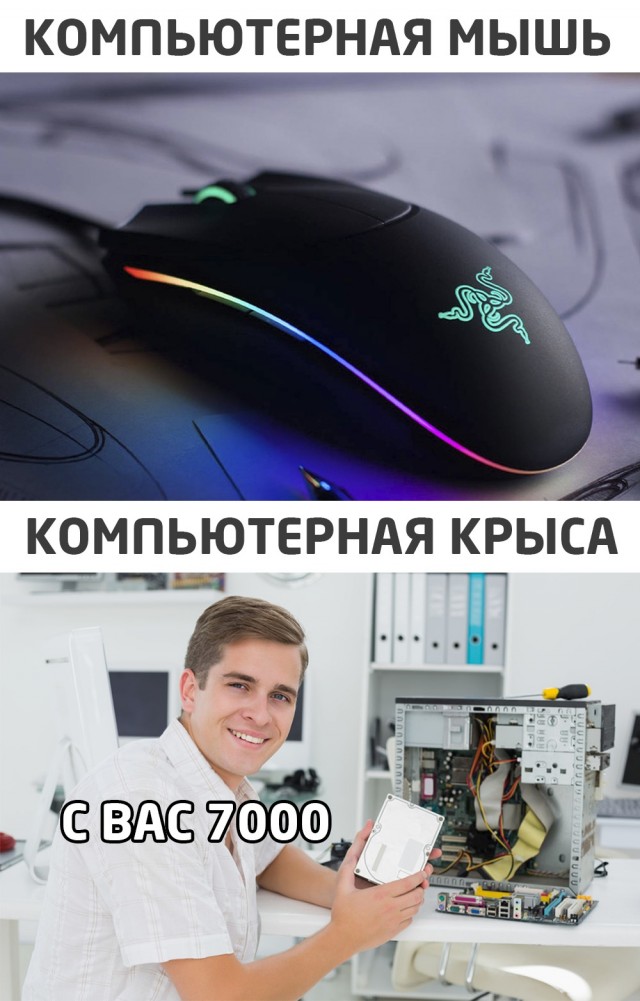 Кретинизмы из сети 11.01.2021