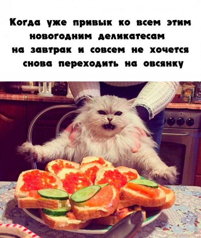 Картинки и мемы для настроения 011