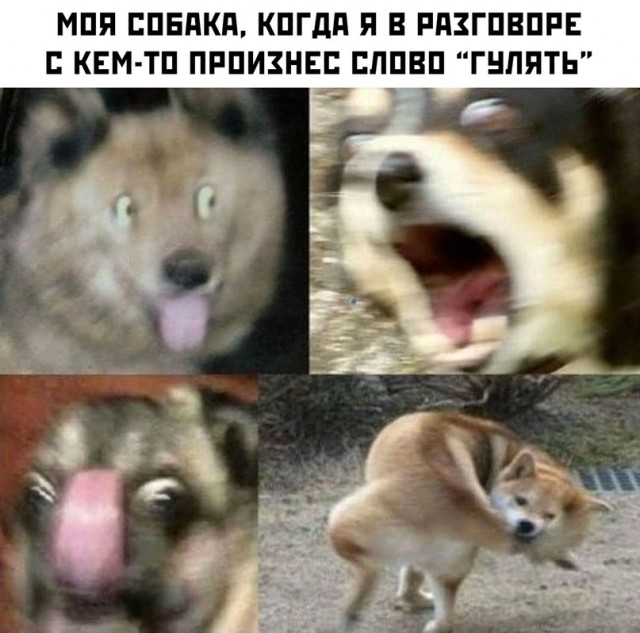 Весёлый полтишок 19.02