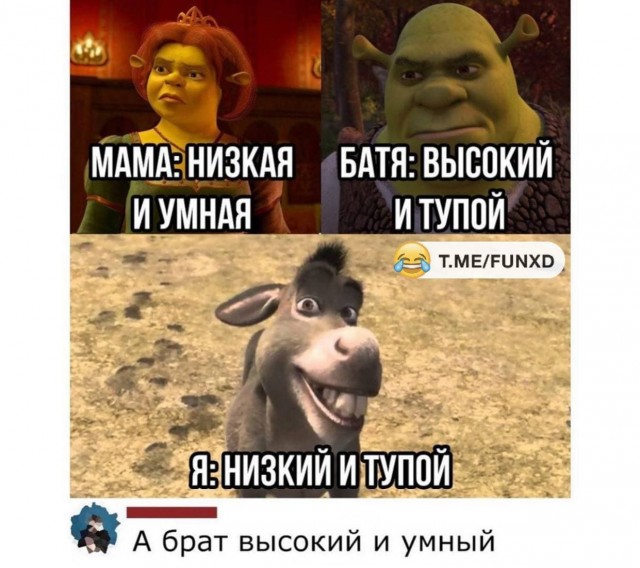 Картинки и мемы для настроения 011
