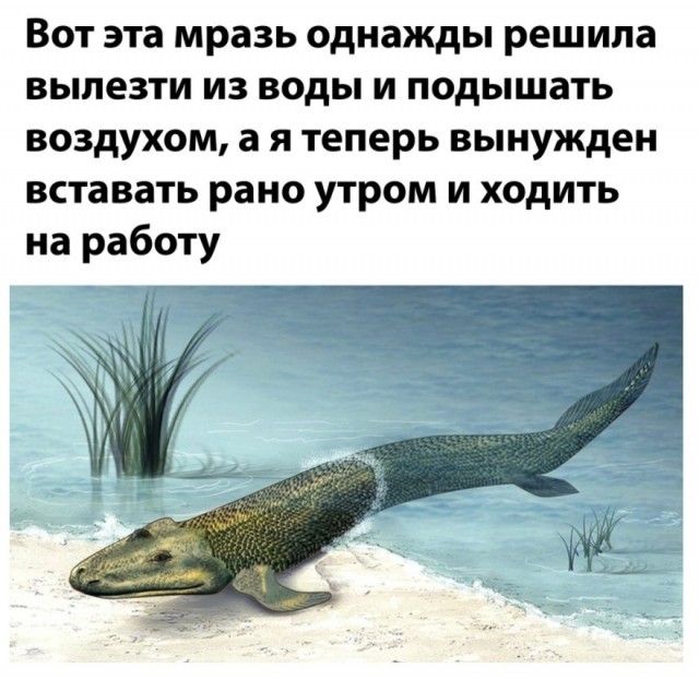Отмена деградации. Околонаучные картинки