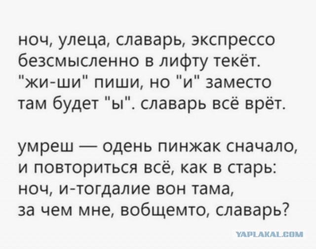 6 ошибок в русском языке, которые стали эпическими: 9 вити эташка, вкрации и другие