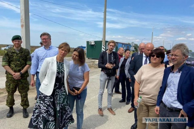 Президентка Эстонии под чем-то