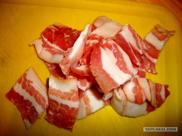 International одной книги., В память о Дженибеке.