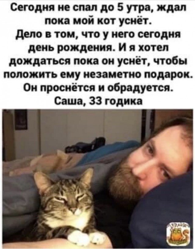 Так себе картинки 07.10.21