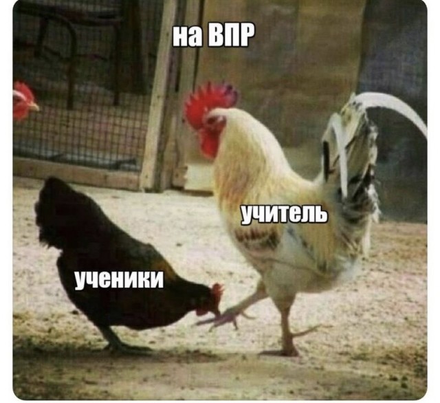 Картинки и мемы, всем прекрасных выходных
