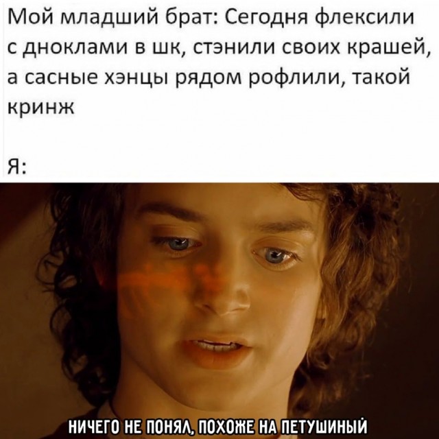 Весёлый полтишок 08.12