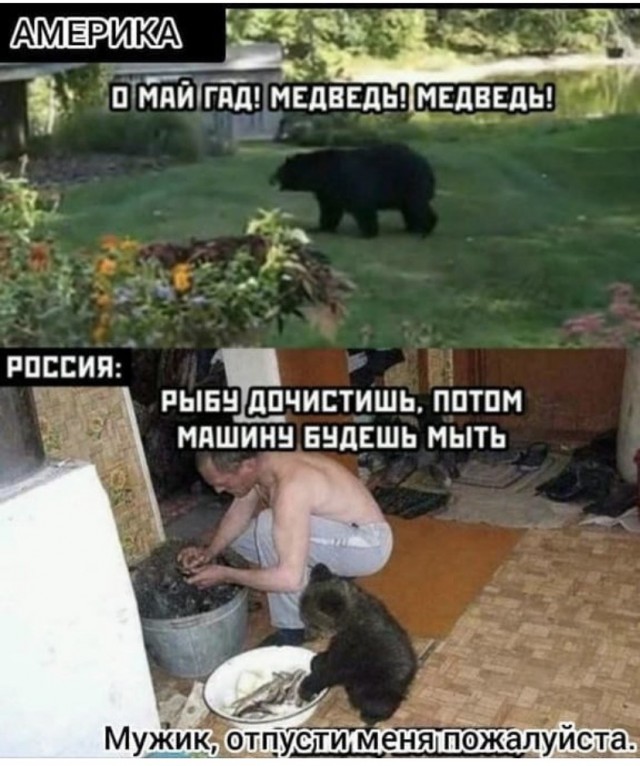 Всяческие картинки 15.12.2021