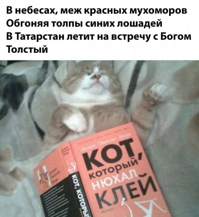 Скриншоты, комментарии, картинки 22.06.22
