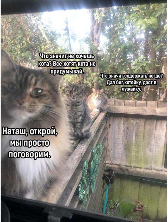 Так себе картинки 25.07.22