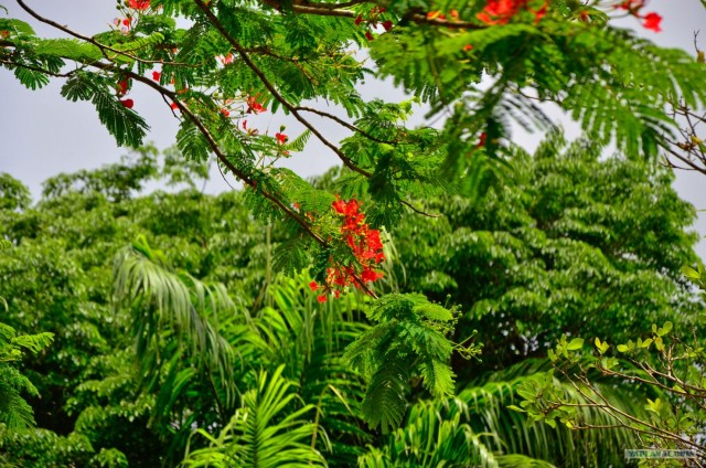 Путешествие по Северной Америке