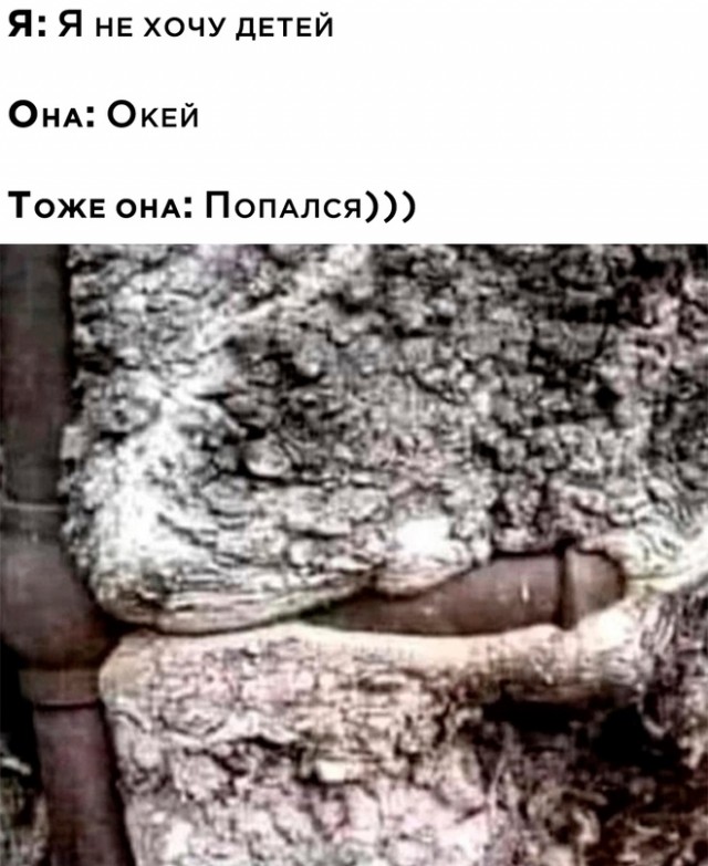 Немного картинок для настроения - 112