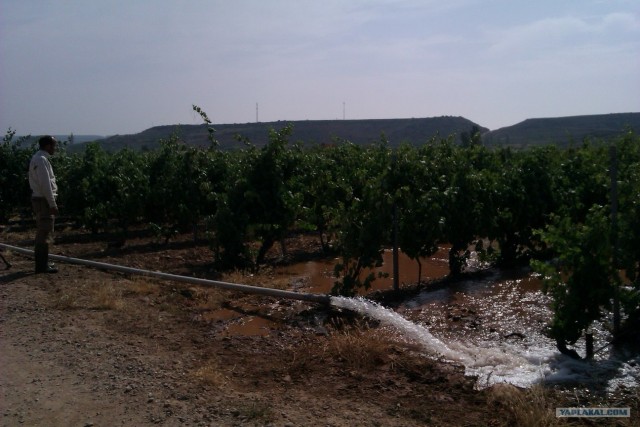 500 км. по Испании пешком