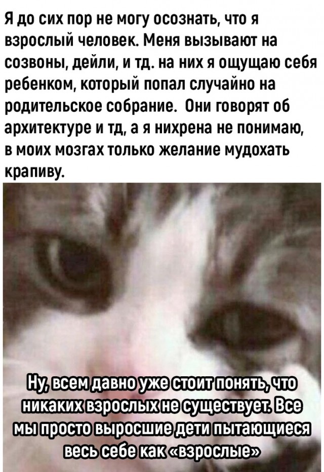 Так себе картинки 21.09.22