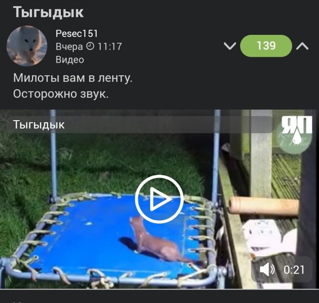 Что он "съел"?