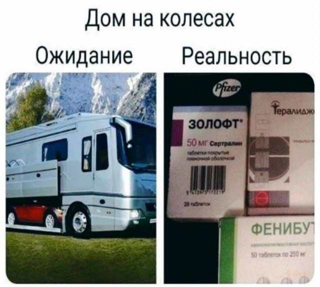 Весёлый полтишок 12.10.22