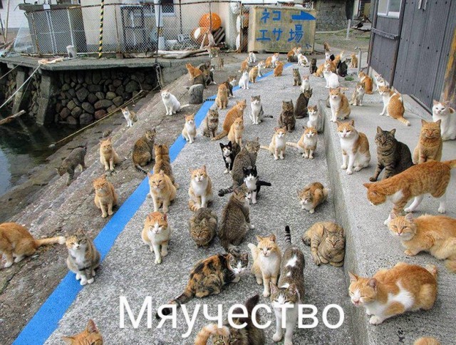 Немного картинок для настроения - 117