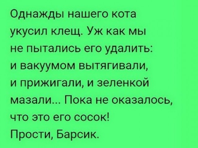 Бритни Грайнер, 60+