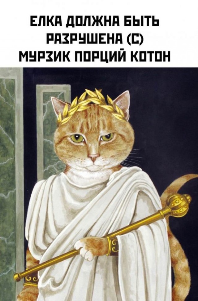 Немного картинок для настроения - 131