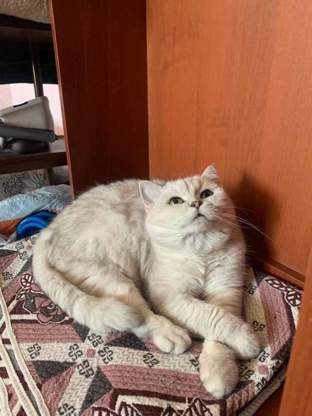 Пешком до Луны