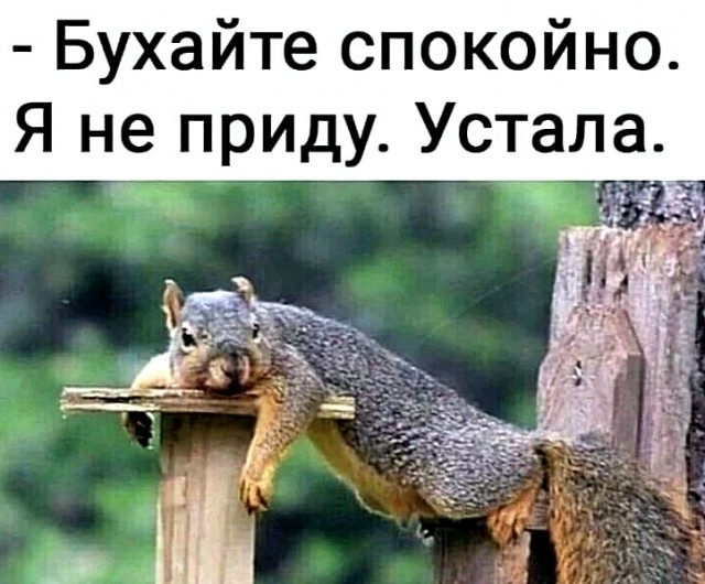 Вторничные веселые картинки с просторов Сети
