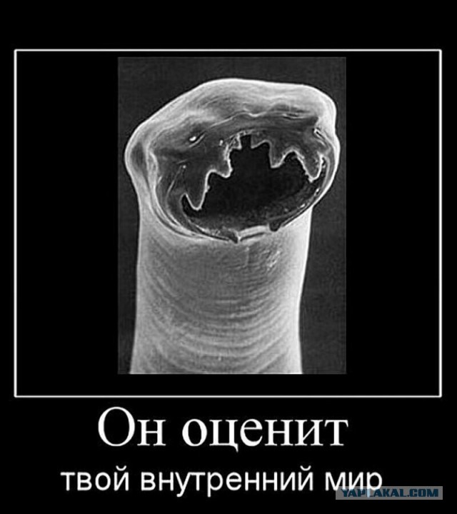 А почему типа. А почему типа