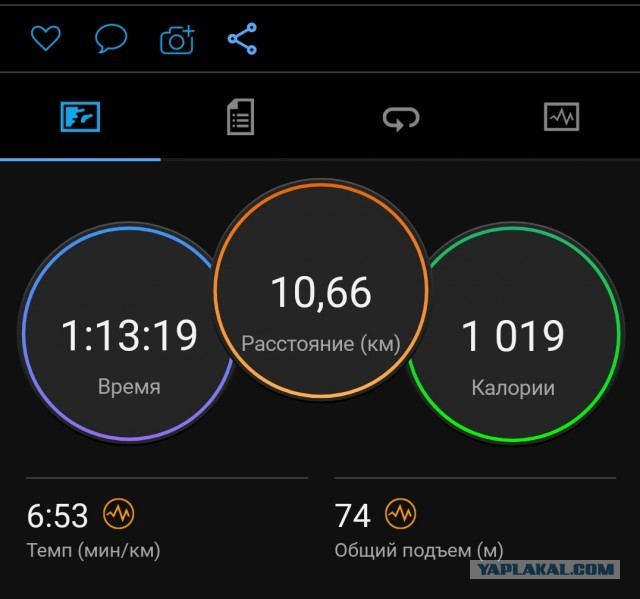 Победная поступь идиотизма по планете – том 13