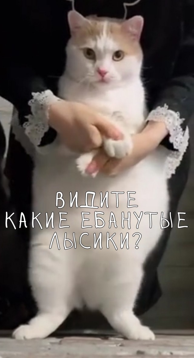 Танец живота