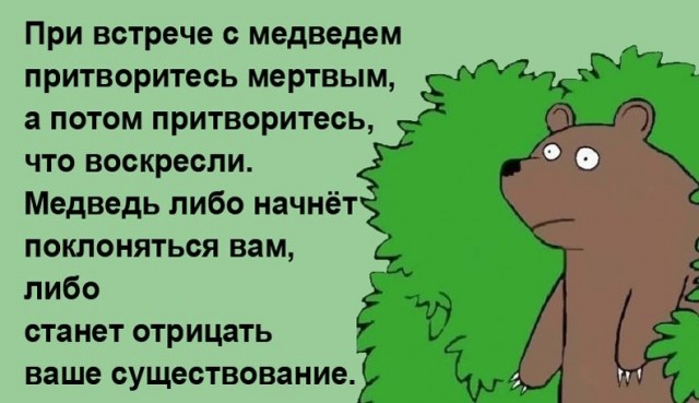 Что делать, если вдруг повстречал волка?