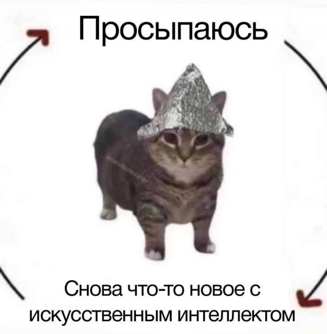 Нуштош 11.06.2023